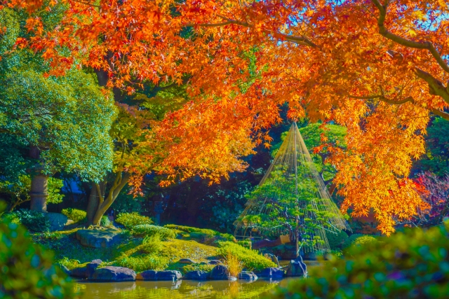 秋の日本庭園