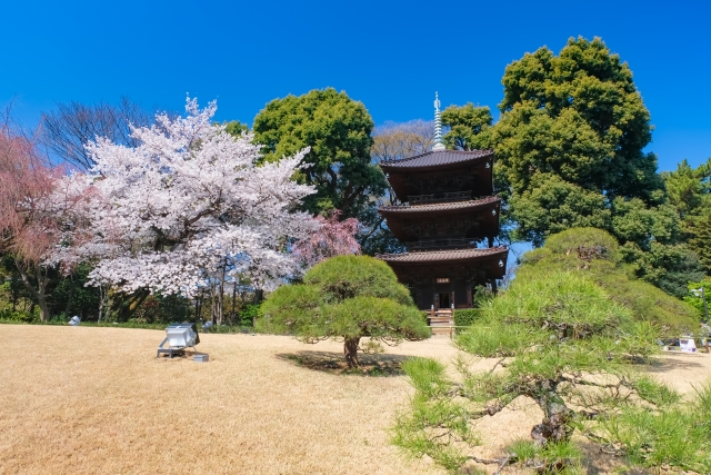 日本庭園